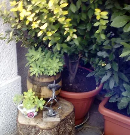 Il Gelsomino Bed and breakfast